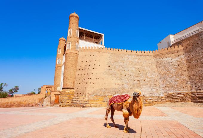 Buchara - Festung Ark  Buchara - Festung Ark