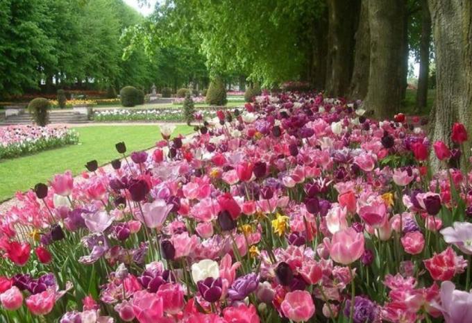 Königliche Gewächshäuser in Laken