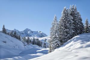 Warth am Arlberg