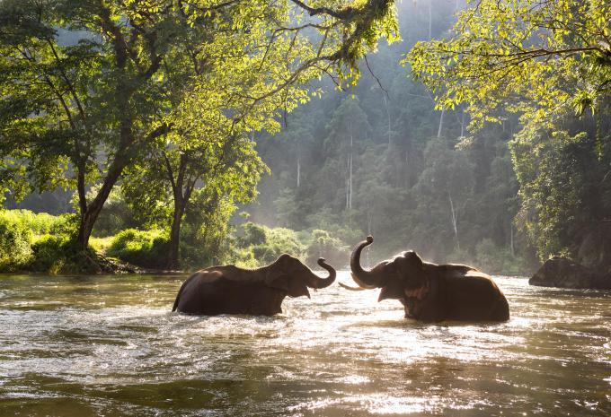 Südthailand - Baden