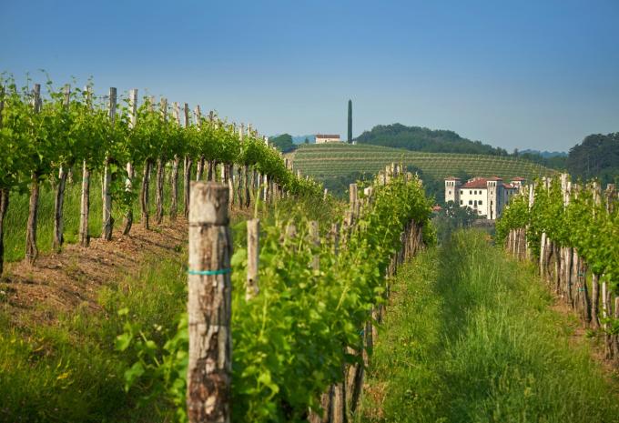 Durch Sloweniens mediterrane Weingärten - Radtour