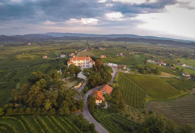 Durch Sloweniens mediterrane Weingärten - Radtour