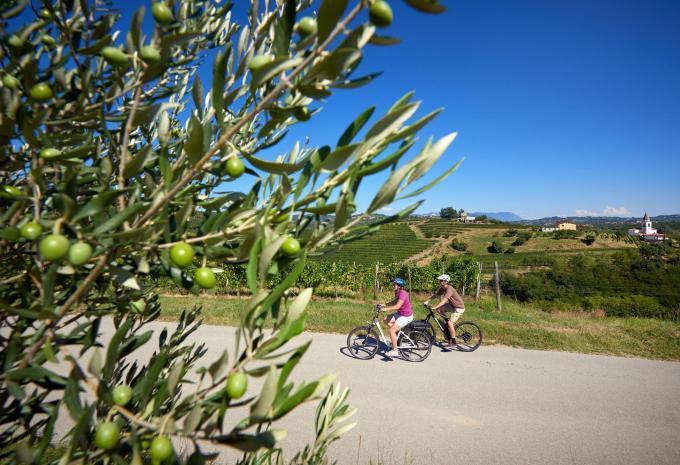 Durch Sloweniens mediterrane Weingärten - Radtour