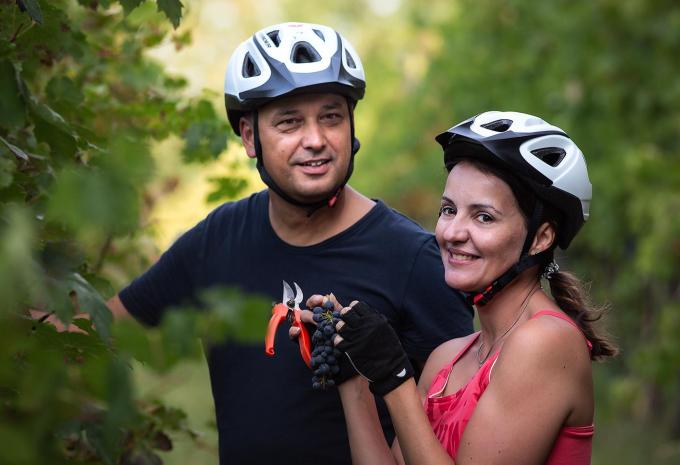 Durch Sloweniens mediterrane Weingärten - Radtour