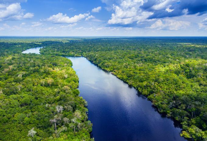 Amazonas-Regenwald