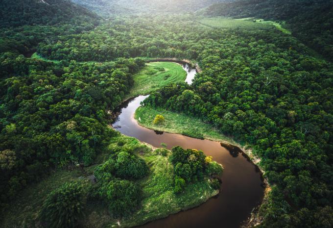 Amazonas-Regenwald