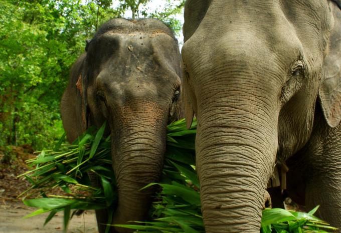 Zentral- & Südthailand - Rundreise & Baden