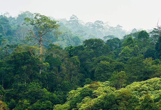 Zentral- & Südthailand - Rundreise & Baden