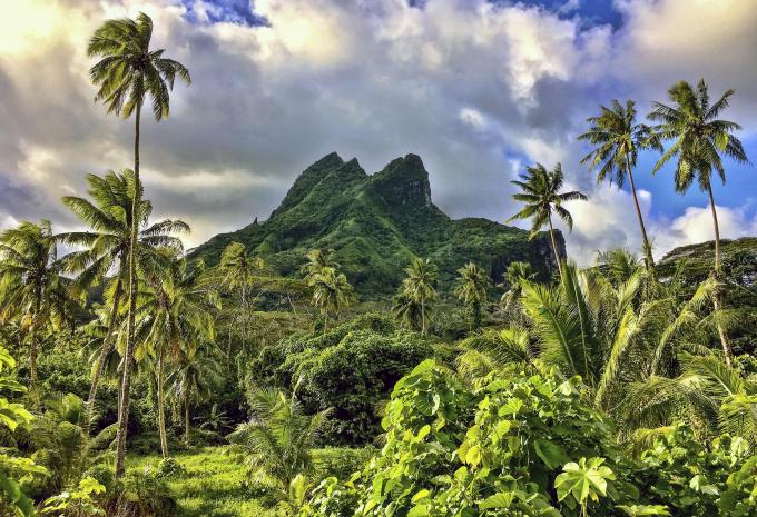 Von Hawaii in die Südsee - Luxuskreuzfahrt & Baden
