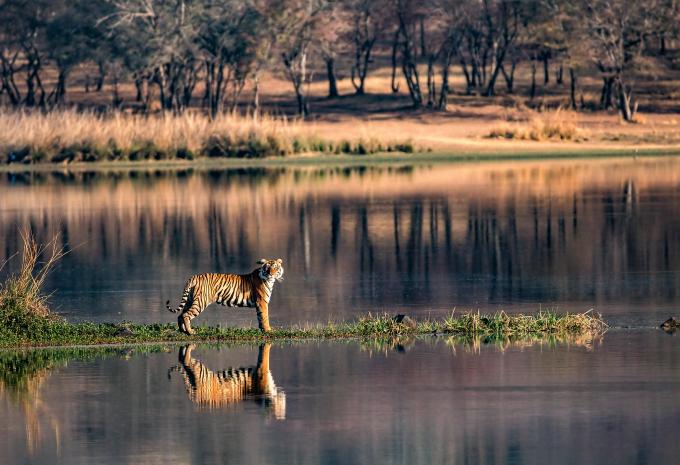 Ranthambhore-Nationalpark