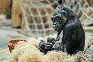 Prager ZOO