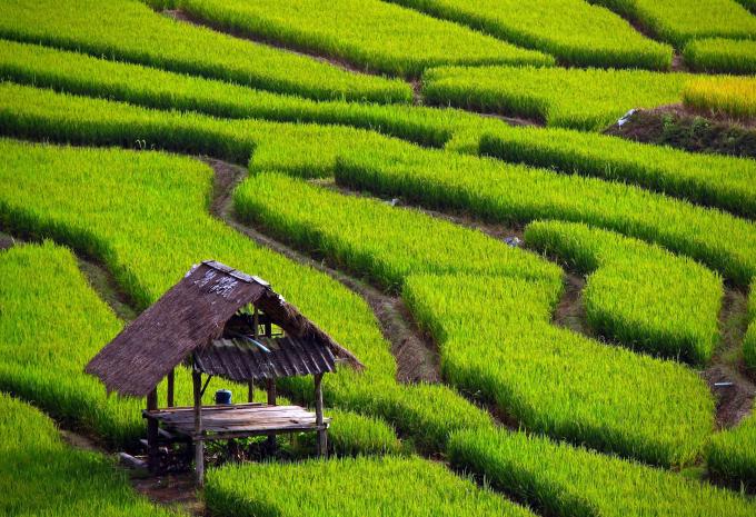 Nordthailand & Ko Samet - Rundreise & Baden