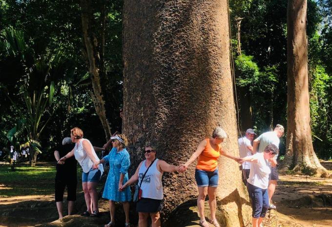 Botanischer Garten Peradaniya