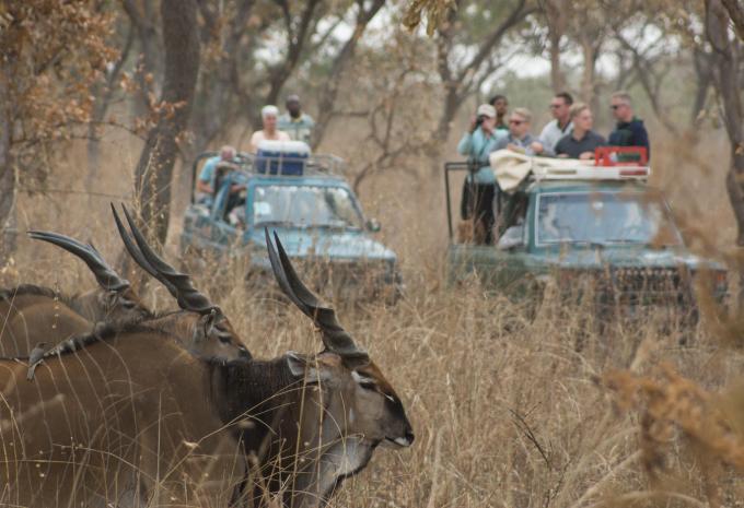Gambia & Senegal - Magisches Westafrika - Rundreise & Baden