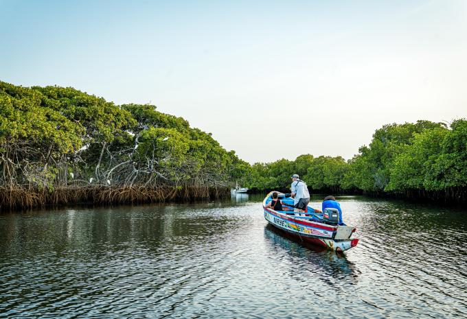 Keur Saloum Delta