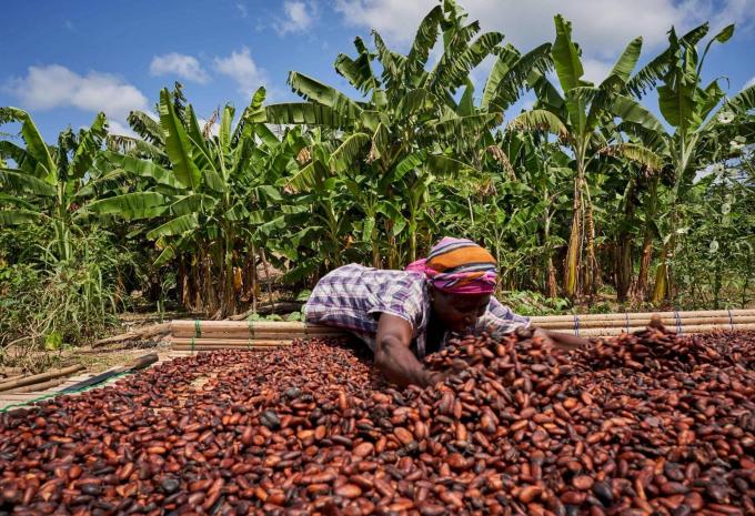 Ghana - Natur, Geschichte & Meer - Rundreise & Baden