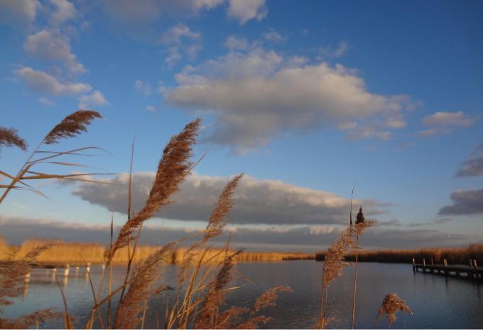 Neusiedler See Neusiedler See