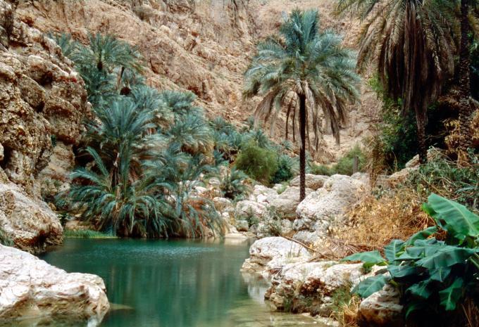 Oman - Wanderreise „Im Land des Weihrauchs & Heimat des Sinbads“