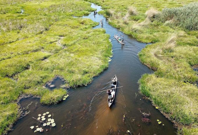 Okavango Delta