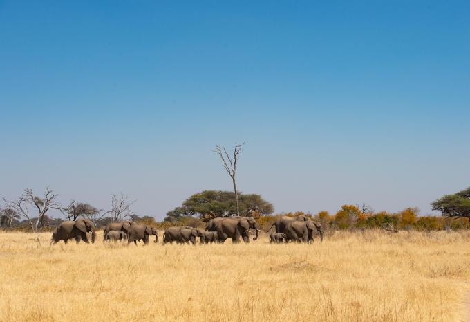 Botswana, Simbabwe & Südafrika - Abenteuer-Rundreise & Safari