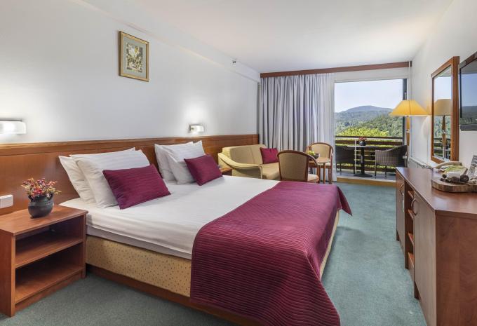 Zimmerbeispiel Doppelzimmer „Superior Balkon Seeseite“