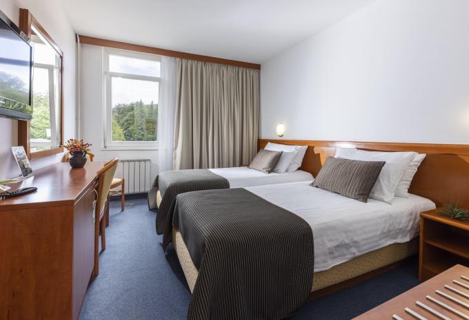 Zimmerbeispiel Doppelzimmer „Standard Parkseite“