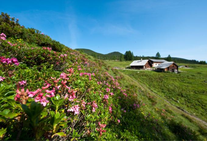 Altenmarkt im Pongau
