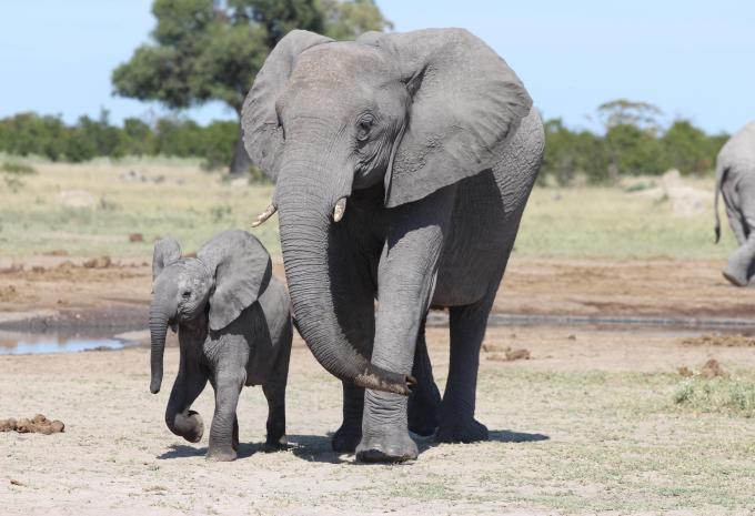 Südafrika - Höhepunkte - Rundreise