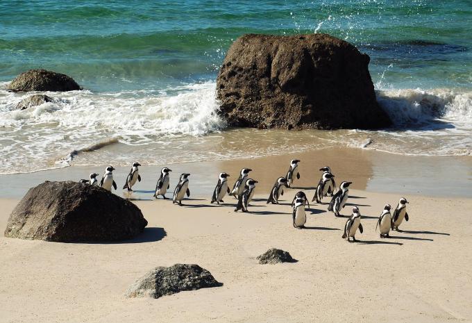 Südafrika - Höhepunkte - Rundreise