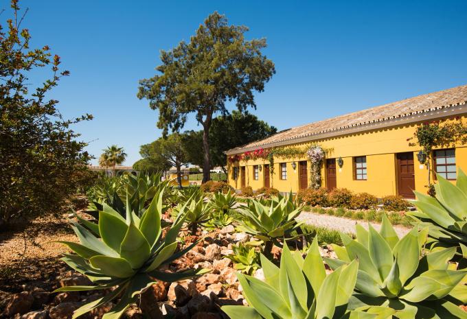 Hotel Vila Gale Alentejo Vineyard - Clube de Campo