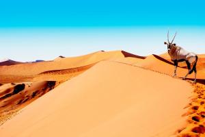 Namibia - Rundreise & Safari