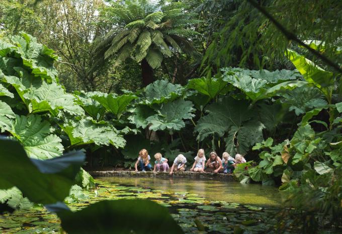 The Lost Gardens of Heligan