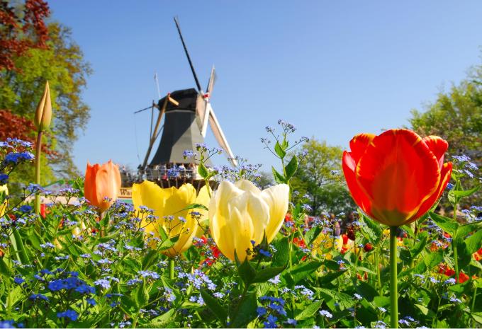 Keukenhof Holland
