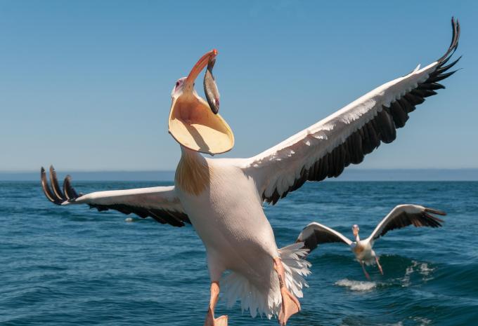 Namibia, Simbabwe & Botswana - Rundreise