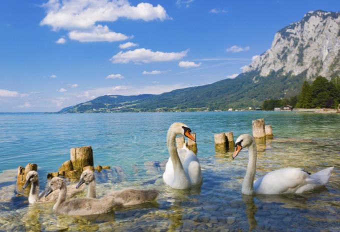 Salzburger Seenlandschaften - Radtour