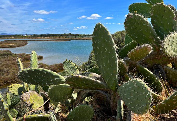 Von West nach Ost entlang der Atlantikküste - Algarve Wanderreise