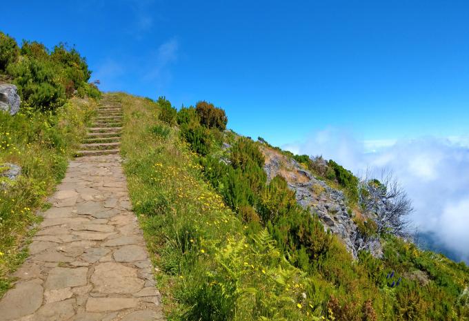 Madeira - Einzigartige Küstenwanderungen & blühende Gärten - Wanderreise