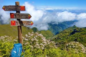 Madeira - Einzigartige Küstenwanderungen & blühende Gärten - Wanderreise