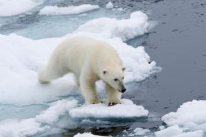 Nord-Spitzbergen zur Sommersonnenwende - Expeditions-Kreuzfahrt