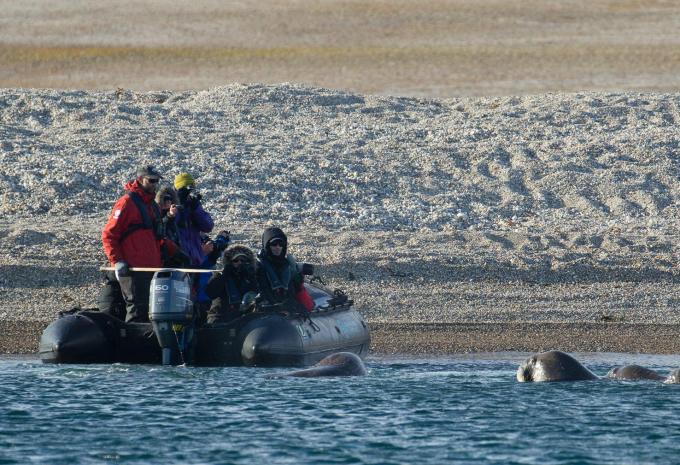 Nord-Spitzbergen zur Sommersonnenwende - Expeditions-Kreuzfahrt