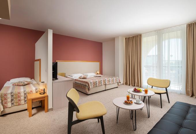 Zimmerbeispiel Junior Suite