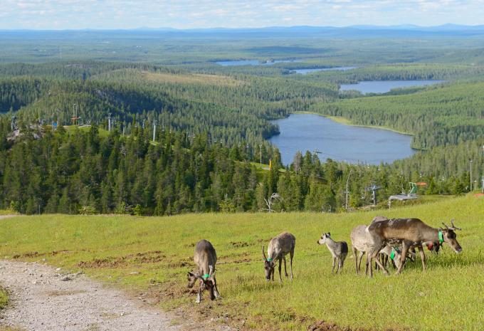 Große Skandinavien Rundreise