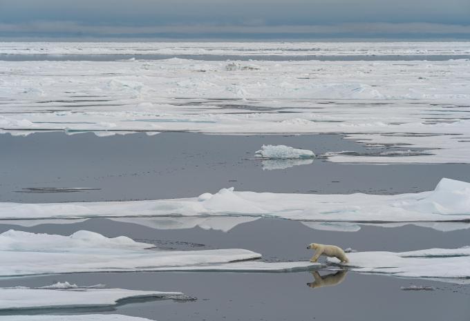 Arktisches Gewässer