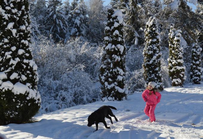 Feldkirchen in Kärnten