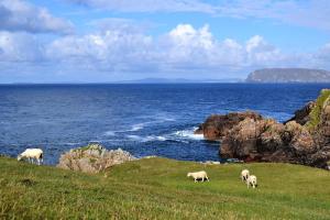 Irland & Schottland - Kreuzfahrt