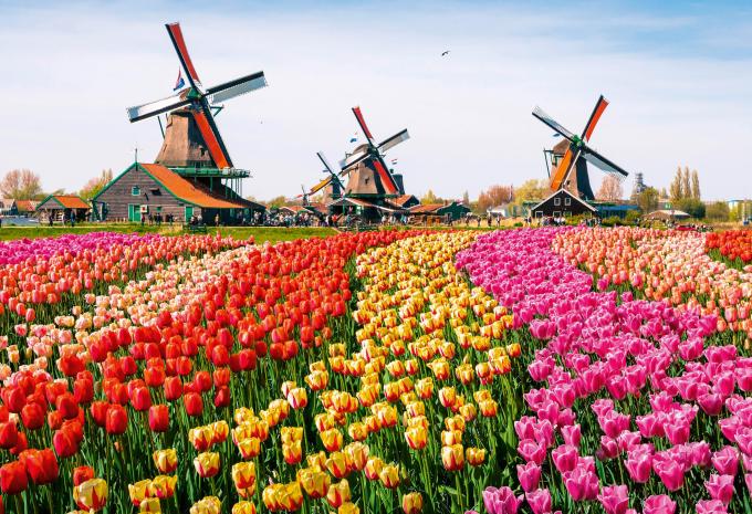 Zaanse - Schans - Windmühlen