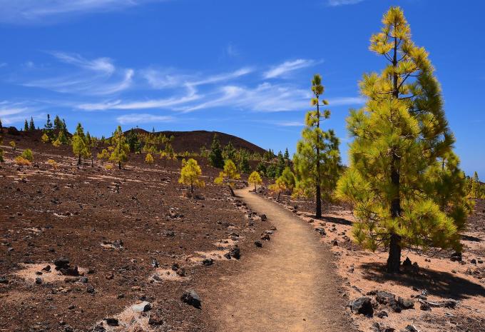 Teide Nationalpark