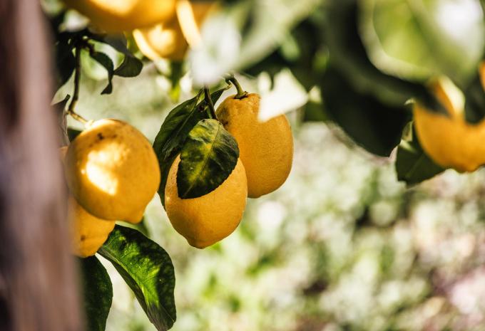 Rund um den Gardasee - Radtour