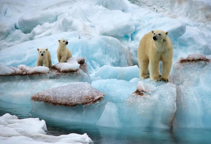 Nord-Spitzbergen - Expeditions-Kreuzfahrt