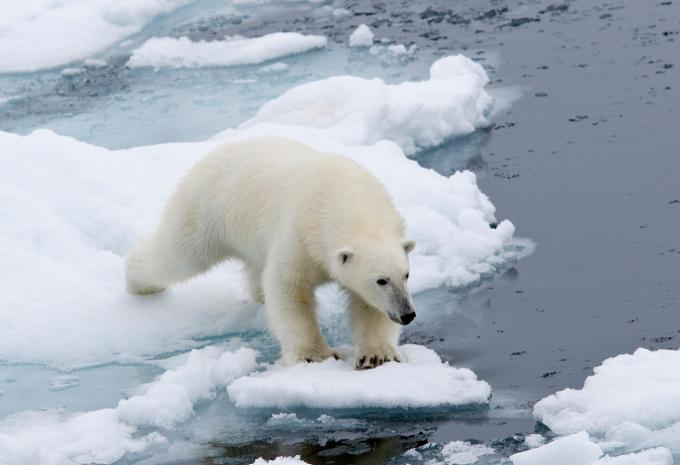 Nord-Spitzbergen - Expeditions-Kreuzfahrt